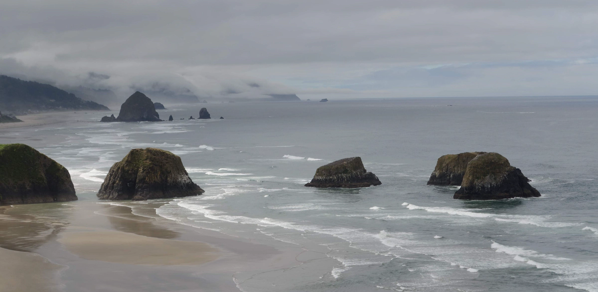 Turkey and Birthday Cake
