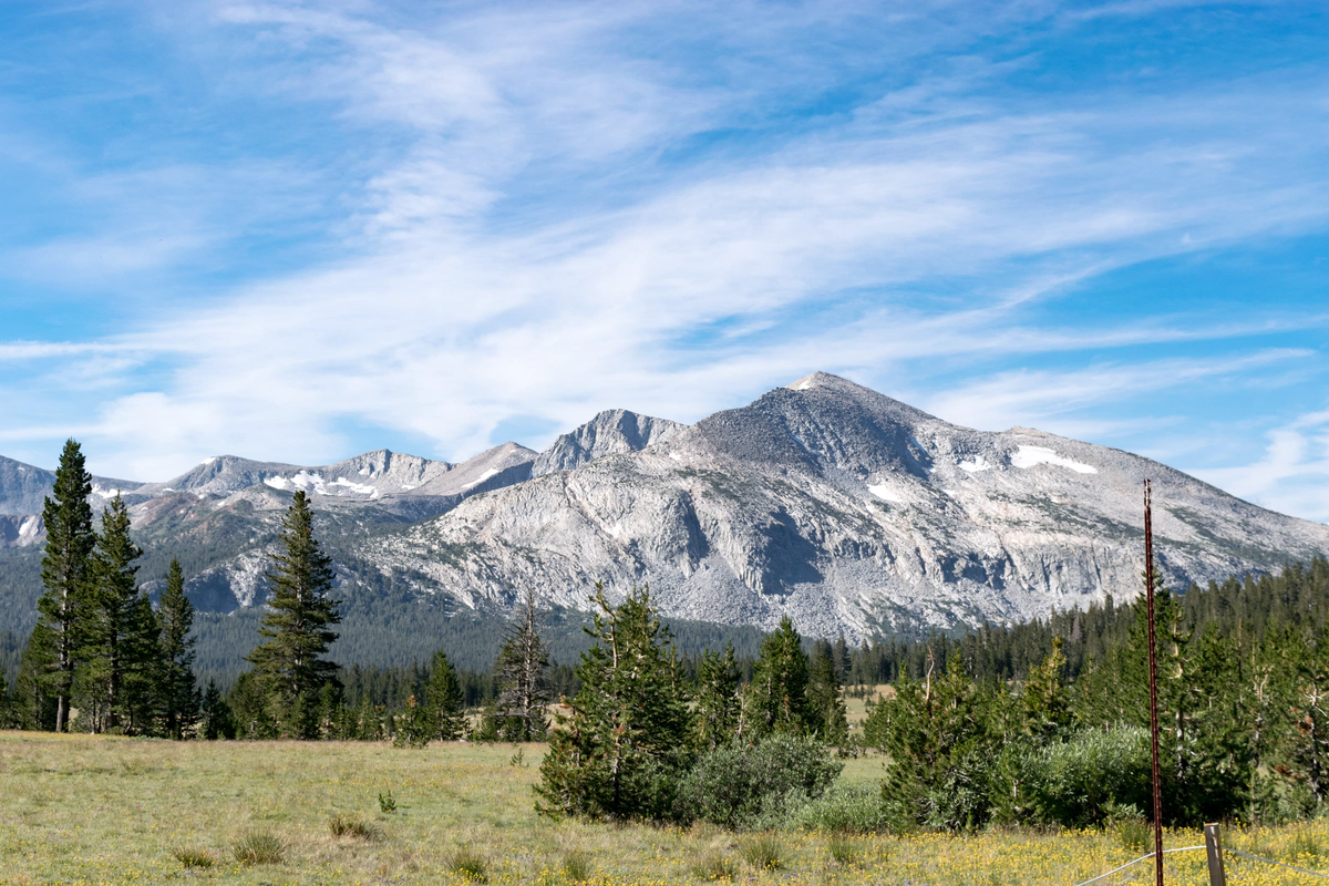 Tweaks to Improve your Twitter Usage