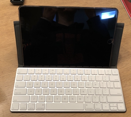 iPad Pro with Canopy + Magic Keyboard