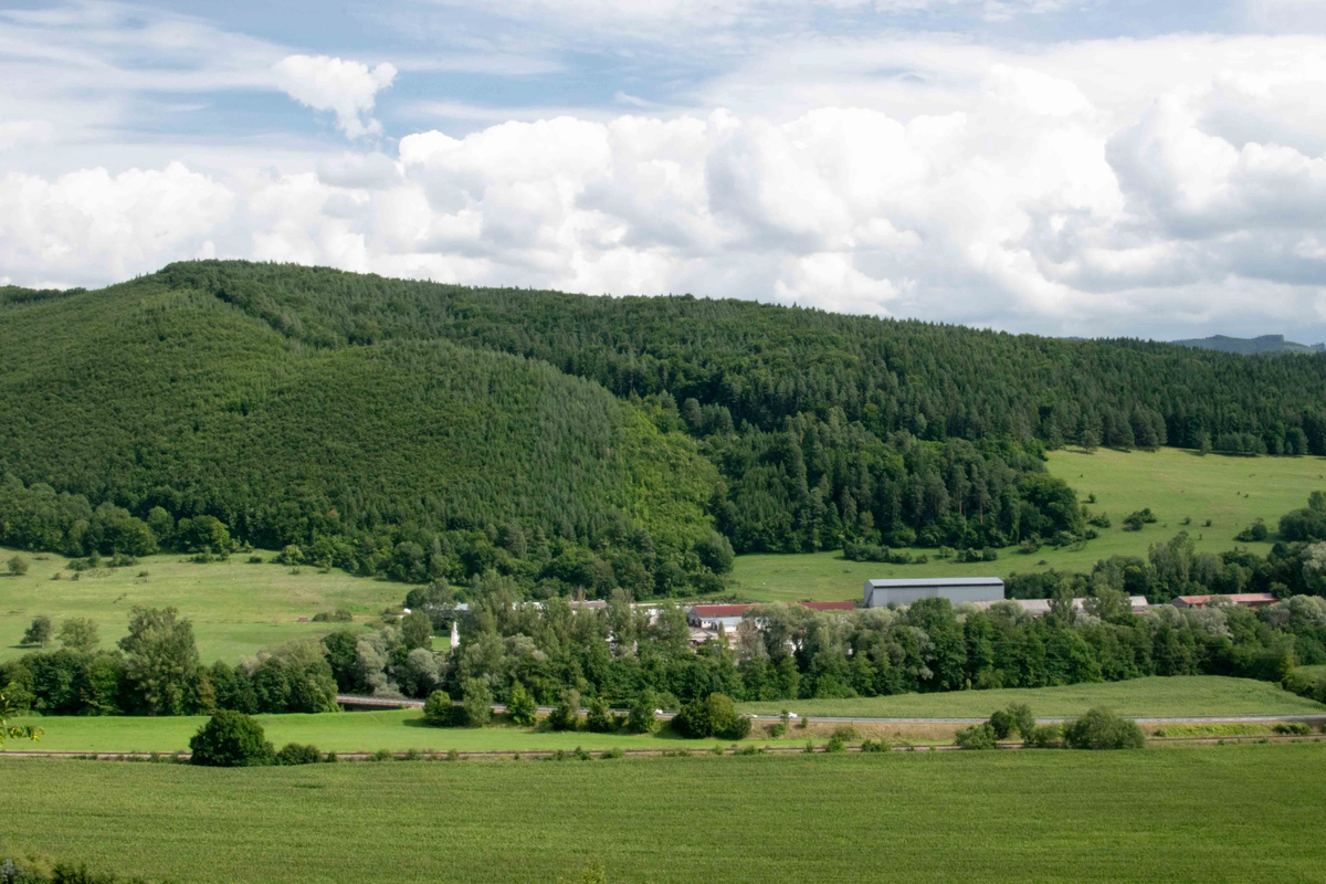 Quarantine Notes - Week 3