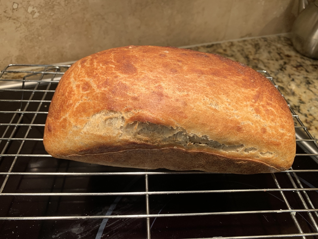This Week&rsquo;s Sourdough &ndash; Not a winner