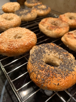 Poppy Seed and Sesame Seed bagels
