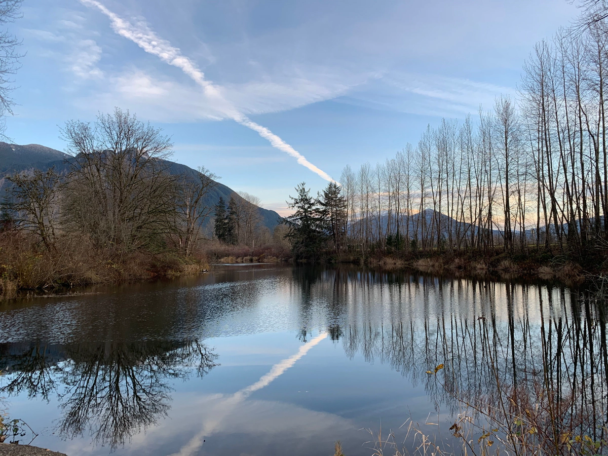 Recently - November 30