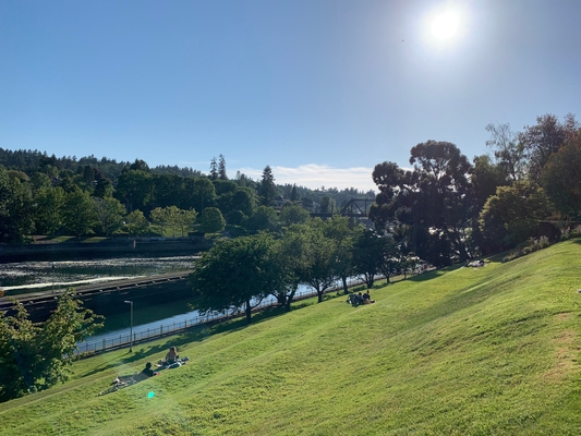 Spring Evening at the Ballard Locks