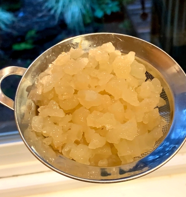 Water Kefir Grains