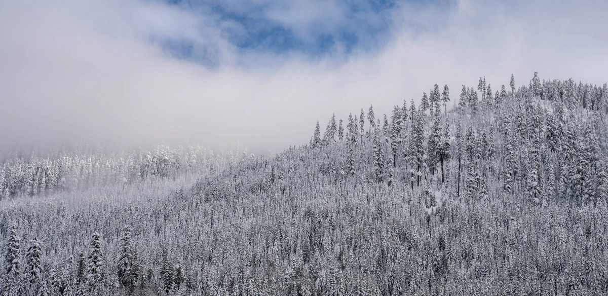 My Favorite Books of 2022