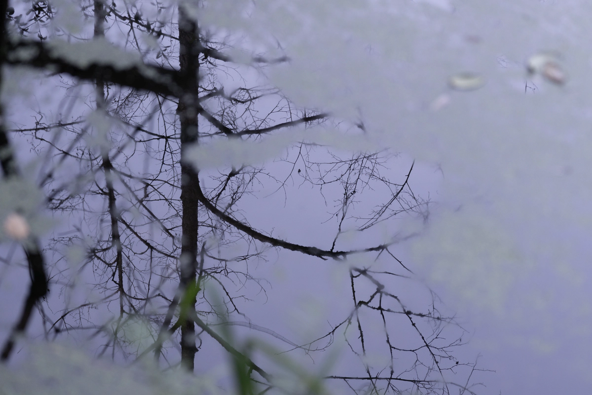 Letters Are Still an Option